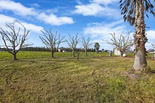 24257 N Pearl Rd, Acampo, CA 95220 - Photo 10