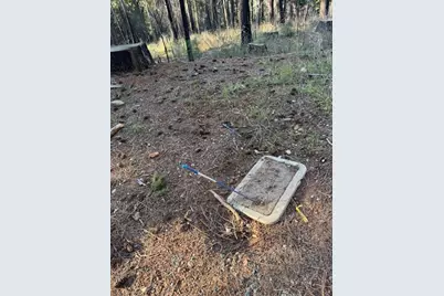 5026 Old Mine Road, Grizzly Flats, CA 95636 - Photo 6