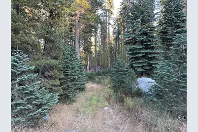 550 Cabbage Patch Log Road, Arnold, CA 95223 - Photo 4