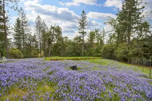 12615 Hilltop Ct, Pine Grove, CA 95665 - Photo 38