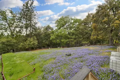 12615 Hilltop Court, Pine Grove, CA 95665 - Photo 6