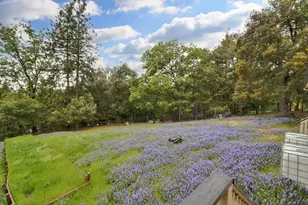 12615 Hilltop Ct, Pine Grove, CA 95665 - Photo 6