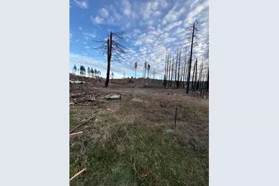 0 Forest Glen @ Winding Way, Grizzly Flats, CA 95636 - Photo 2
