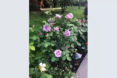 2890 Northrop Avenue, Sacramento, CA 95864 - Photo 50