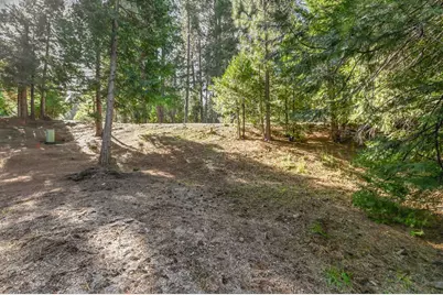 26321 Golf Links Drive, Pioneer, CA 95666 - Photo 38