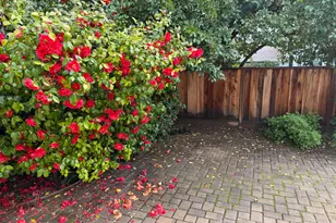 1054 Steinway Ave, Campbell, CA 95008 - Photo 30