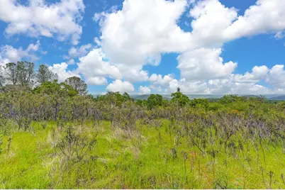 4822 Salmon Falls Road, Pilot Hill, CA 95664 - Photo 40