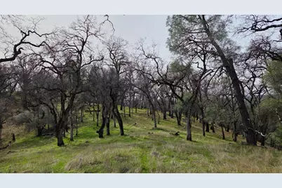 0 Palace Lane, Placerville, CA 95667 - Photo 26