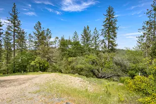 329 Cuckoo Ct, Applegate, CA 95703 - Photo 1