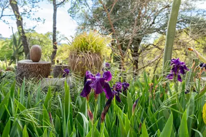 16100 Barbara Court, Grass Valley, CA 95949 - Photo 70