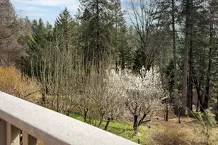 11977 Alta Sierra Dr, Grass Valley, CA 95949 - Photo 74