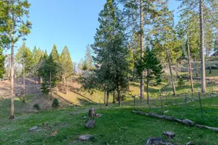 19010 Potteroffs Rd, Mokelumne Hill, CA 95245 - Photo 30