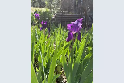 180 Dutch Flat Road, Dutch Flat, CA 95714 - Photo 28