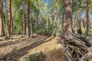 14724 N Bloomfield-Graniteville Rd, Nevada City, CA 95959 - Photo 92