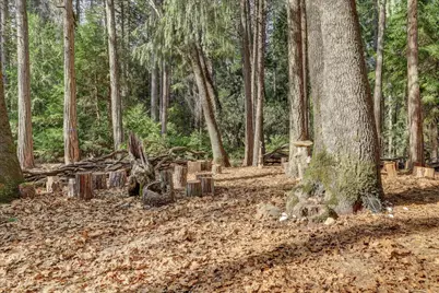 14724 N Bloomfield-Graniteville Road, Nevada City, CA 95959 - Photo 94