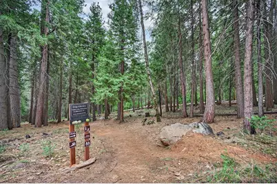 4381 Lakeridge Drive, Pollock Pines, CA 95726 - Photo 62