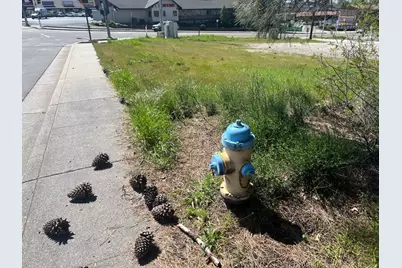 1300 East Main Street, Grass Valley, CA 95945 - Photo 2