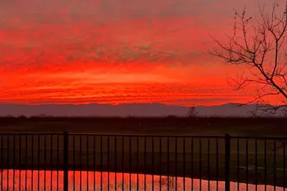 18176 Gadwall Street, Woodland, CA 95695 - Photo 52