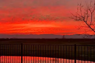 18176 Gadwall St, Woodland, CA 95695 - Photo 52