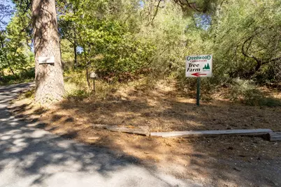Syd Road, Greenwood, CA 95635 - Photo 38