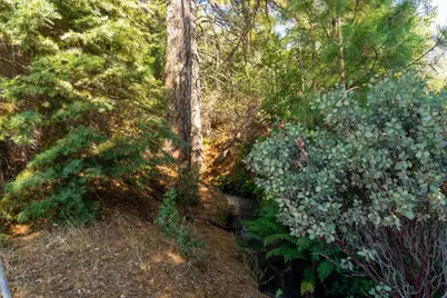 Syd Road, Greenwood, CA 95635 - Photo 32