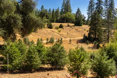 Syd Road, Greenwood, CA 95635 - Photo 22