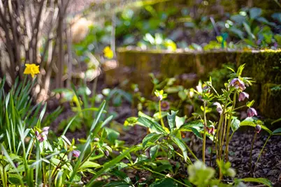 3680 Reflection Road, Shingle Springs, CA 95682 - Photo 28