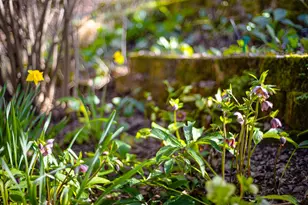 3680 Reflection Rd, Shingle Springs, CA 95682 - Photo 28