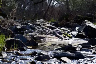 3680 Reflection Rd, Shingle Springs, CA 95682 - Photo 30