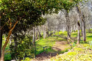 3680 Reflection Rd, Shingle Springs, CA 95682 - Photo 26