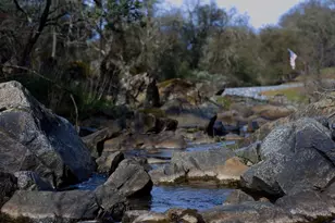 3680 Reflection Rd, Shingle Springs, CA 95682 - Photo 32