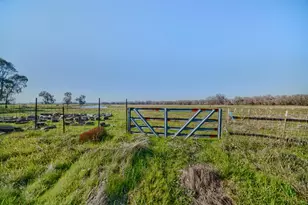 790 Nelson Ln, Lincoln, CA 95648 - Photo 38