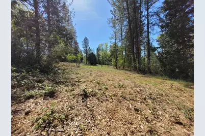 13560 Hopeful Hill Road, Nevada City, CA 95959 - Photo 2