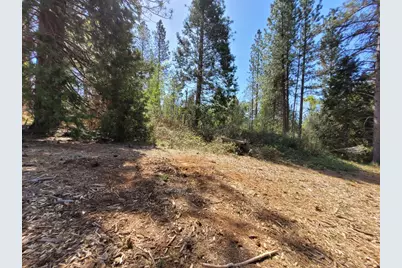 13560 Hopeful Hill Road, Nevada City, CA 95959 - Photo 16