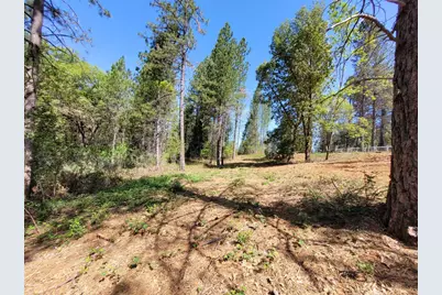 13560 Hopeful Hill Road, Nevada City, CA 95959 - Photo 14