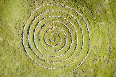 18085 Oak Tree Road, Nevada City, CA 95959 - Photo 92