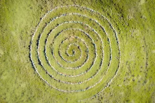 18085 Oak Tree Rd, Nevada City, CA 95959 - Photo 92