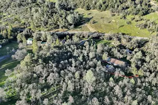 12545 Wolf Rd, Grass Valley, CA 95949 - Photo 90