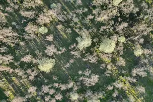 12545 Wolf Rd, Grass Valley, CA 95949 - Photo 92