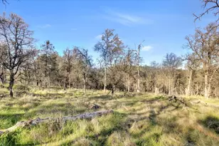 12545 Wolf Rd, Grass Valley, CA 95949 - Photo 64