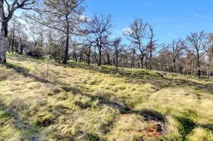12545 Wolf Rd, Grass Valley, CA 95949 - Photo 60