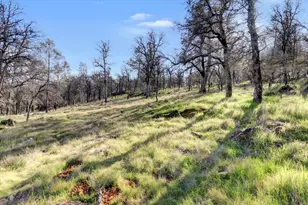 12545 Wolf Rd, Grass Valley, CA 95949 - Photo 58
