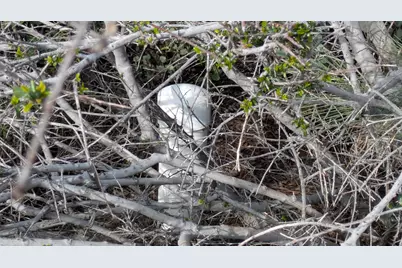 4086 Pilot View Ct., Pilot Hill, CA 95664 - Photo 20