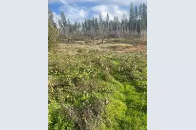 0 South Auburn Street, Grass Valley, CA 95945 - Photo 2