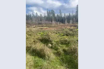 0 South Auburn Street, Grass Valley, CA 95945 - Photo 4