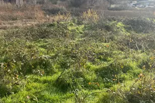 0 S Auburn St, Grass Valley, CA 95945 - Photo 1