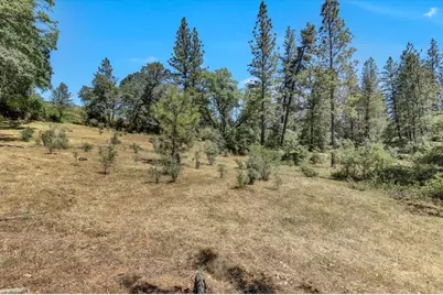 10061 Alta Sierra Drive, Grass Valley, CA 95949 - Photo 44