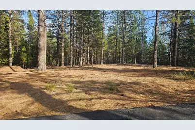 2801 Harkness Street, Georgetown, CA 95634 - Photo 1