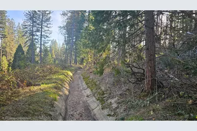 2801 Harkness Street, Georgetown, CA 95634 - Photo 4