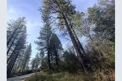 10986 Tyler Foote Crossing Road, Nevada City, CA 95959 - Photo 6